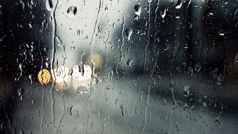 ¿Cómo estará el tiempo durante la semana?
