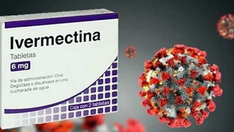 Según un estudio argentino, la ivermectina tendría un efecto antiviral en pacientes con Covid-19