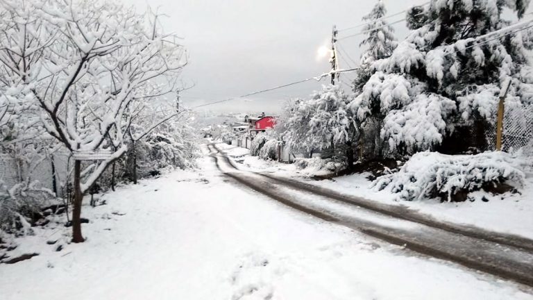 Tras las nevadas en la provincia, ¿puede nevar en San Francisco?