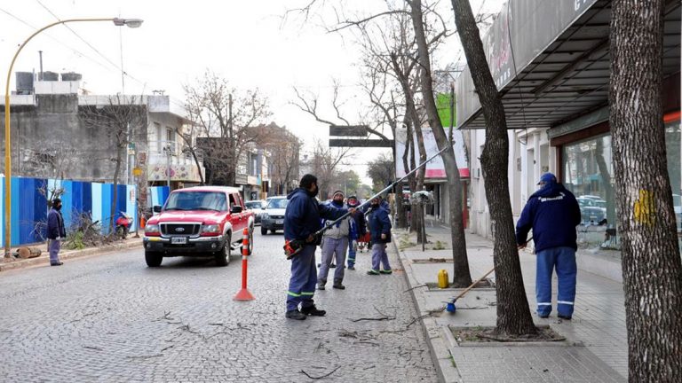 El municipio realiza tareas de poda baja en la zona céntrica
