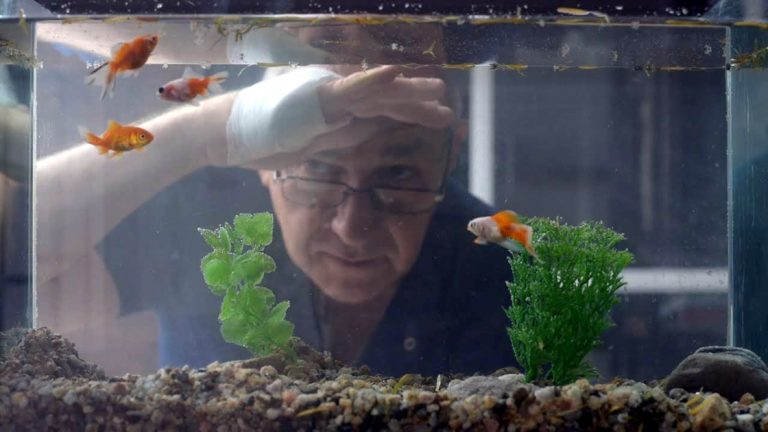 “Para tanta agua está el mar” llega al cine Radar