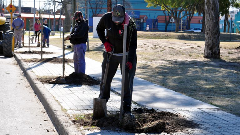 El municipio continúa con el Plan de Reforestación