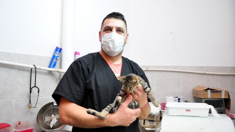El municipio superó las 20.000 castraciones y esterilizaciones de mascotas