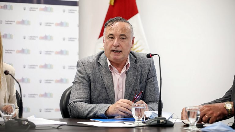 Accastello presentó el proyecto de Promoción Industrial en la Legislatura