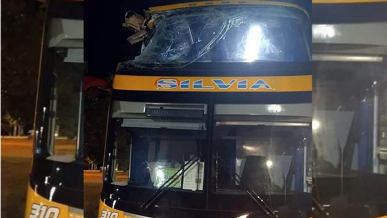 Un colectivero se descompuso y tomó el volante un pasajero