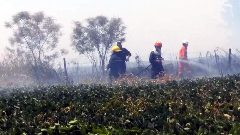 Bomberos combate un incendio en zona del Aeroclub