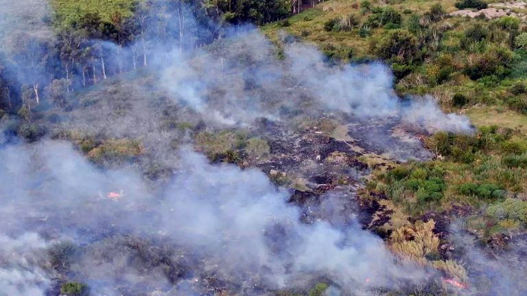 Bomberos controló incendio de pastizales
