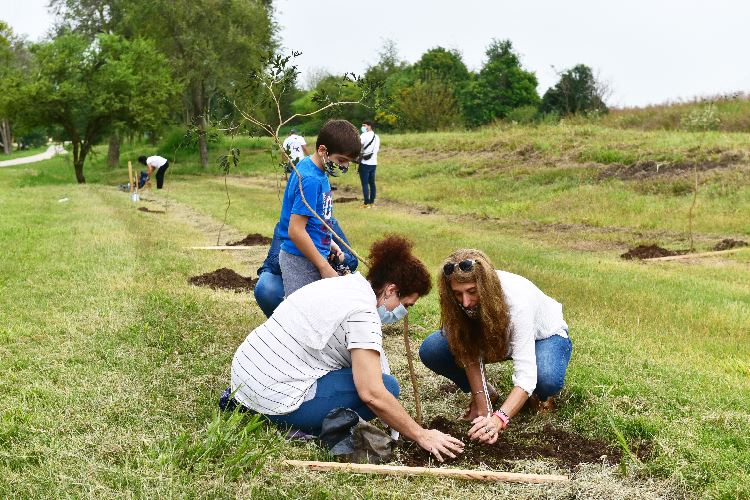 A un año de su creación realizarán un acto en el «Bosque de la Memoria»