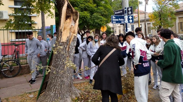 El municipio puso en marcha el Censo de Arbolado Urbano San Francisco 2022