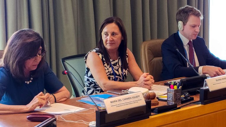La Provincia presentó el Primer Informe Voluntario Local ante Naciones Unidas