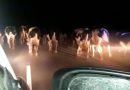 Sorprenden a hombres arriando animales en plena ruta