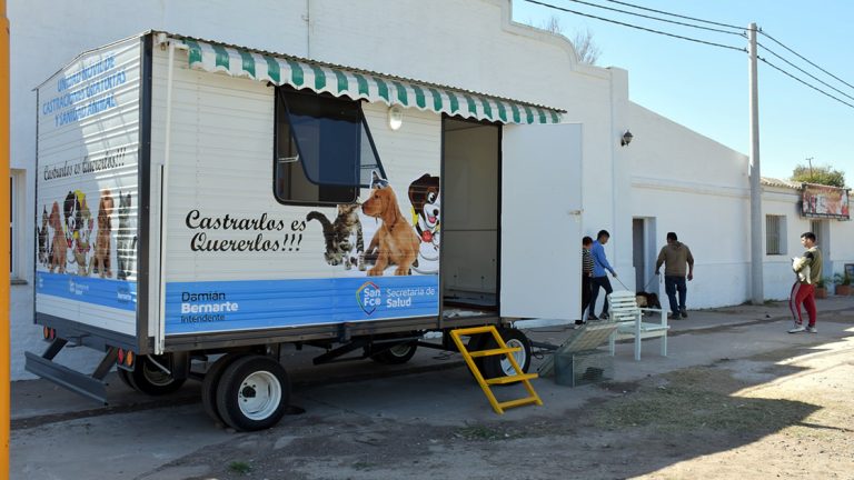 San Francisco es la segunda ciudad del interior provincial en cantidad de animales castrados