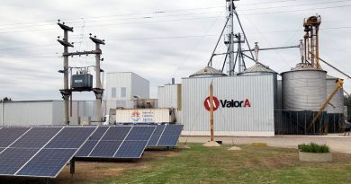 San Francisco se “anotó un poroto” para transformarse en la capital nacional del uso de plantas de soja como fábricas moleculares de proteínas cárnicas