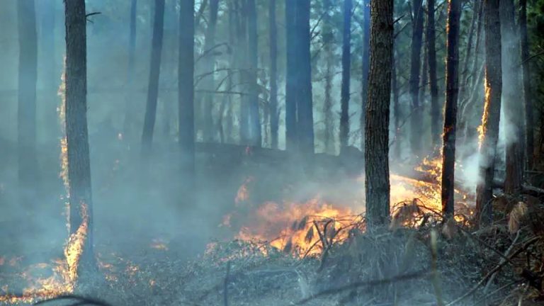 El Gobierno avanzará con un DNU para declarar la Emergencia Ígnea en el sur del país