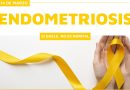 La Secretaría de Salud encara acciones preventivas sobre la endometriosis