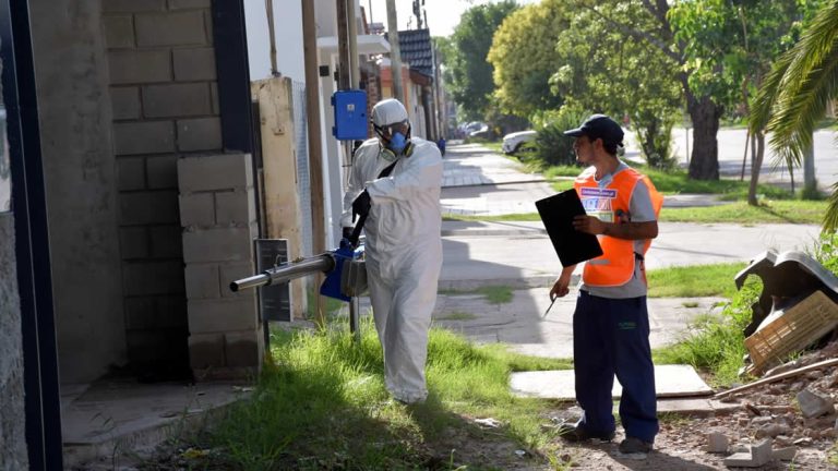 Lucha contra el dengue: La municipalidad intervino en más de 7.000 domicilios