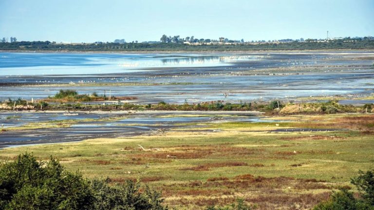 Se inauguró el Pulmón Verde Bahía de Ansenuza
