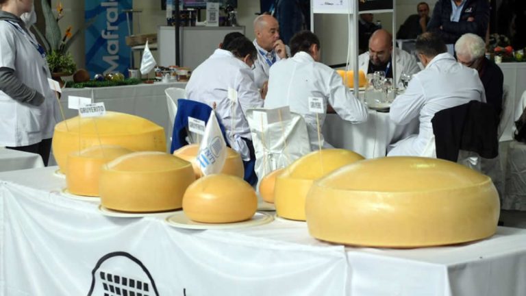 Todo Láctea 2026 llega con competencias que premiarán lo mejor de la producción láctea