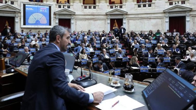 Otra jornada negra para Milei: la oposición va por el rechazo a los vetos de universidades y Garrahan