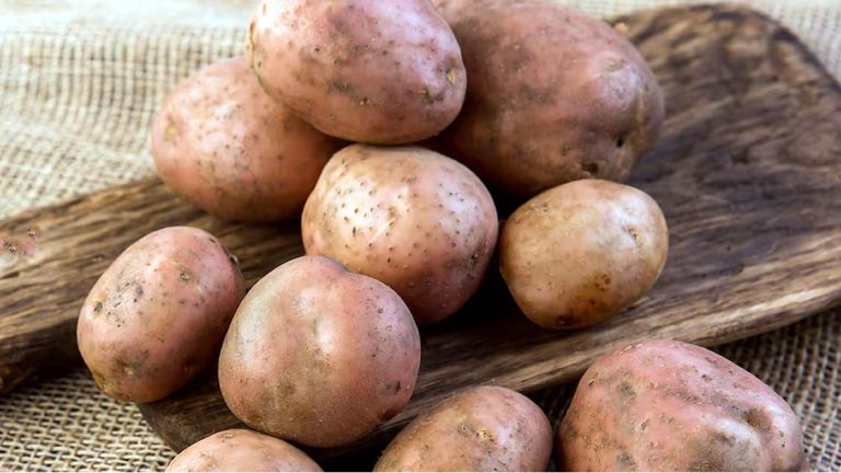 El alimento que ayuda a fortalecer la memoria, el cerebro y la vista
