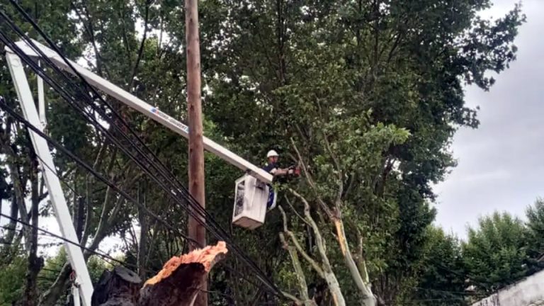 Enel en América Latina: rentabilidad sin compromiso