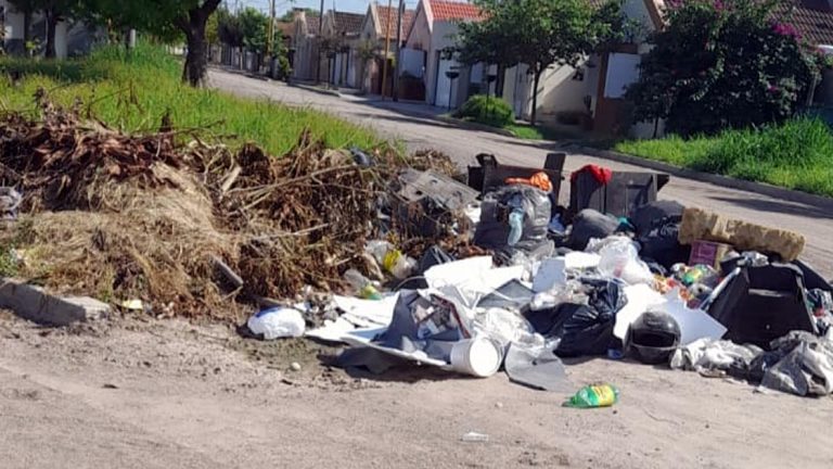 La Municipalidad intensifica la limpieza y erradicación de minibasurales