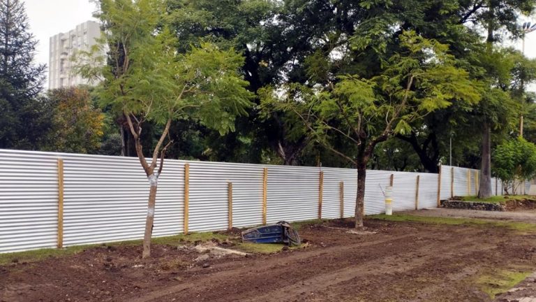 Reubican árboles por las obras en la Plaza Cívica