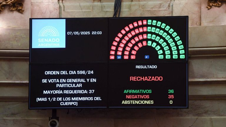 El Senado rechazó la ficha limpia por dos misioneros que dieron vuelta su voto