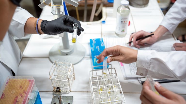 Estudiantes de las Ingenierías Química e Industrial expondrán sus proyectos de trabajo final de carrera