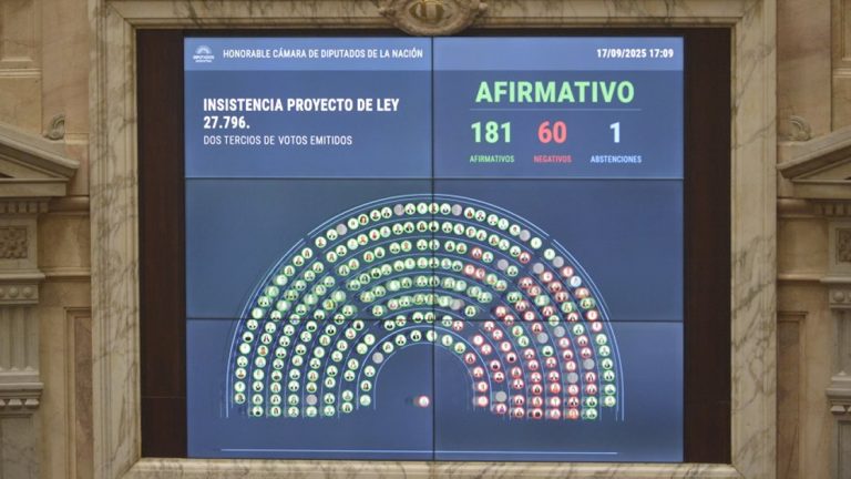 Rechazo a los vetos de Milei: Diputados ratifican financiamiento para pediatría y universidades