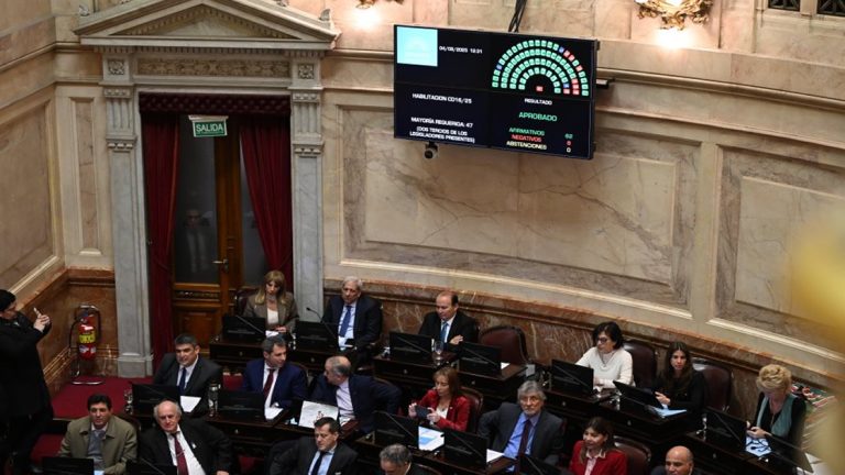 El Senado rechazó un veto del Gobierno y restituyó la ley de emergencia en discapacidad