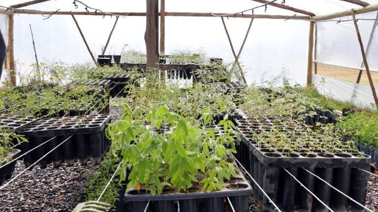 San Francisco continúa trabajando en materia ambiental con políticas sostenidas y acciones concretas