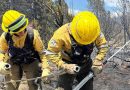 Bomberos cordobeses continúan combatiendo el fuego en El Maitén