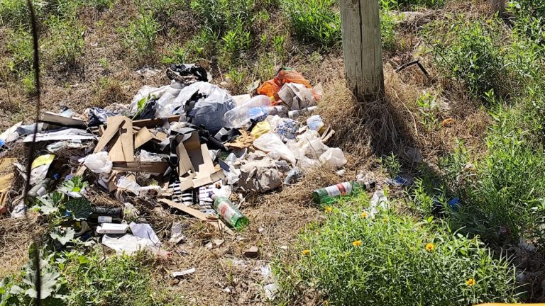 Minibasurales: se cargaron más de 10 camiones con basura en barrios Parque y La Milka