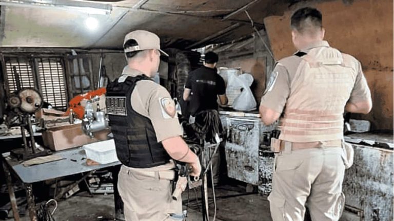 San Justo: inspecciones y clausura preventiva de un establecimiento por faenamiento clandestino en La Francia