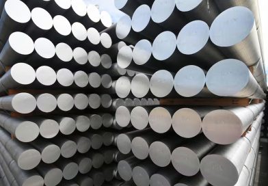 Milei le quitó una protección al aluminio y volvió a golpear al dueño de Fate