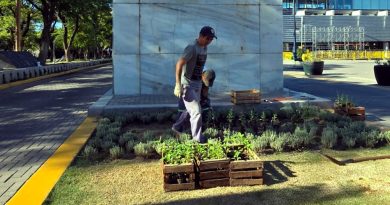 San Francisco inicia el año con remplazo de plantas para embellecer la ciudad
