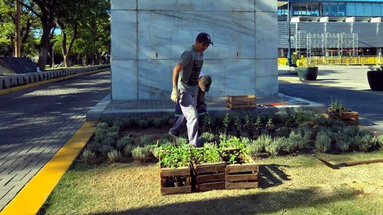 San Francisco inicia el año con remplazo de plantas para embellecer la ciudad