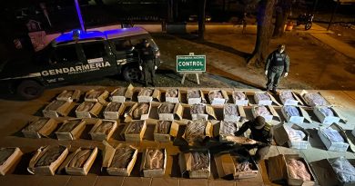 Detectaron un camión que transportaba una tonelada de pescado sin las condiciones sanitarias necesarias