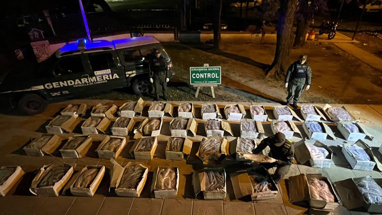 Detectaron un camión que transportaba una tonelada de pescado sin las condiciones sanitarias necesarias