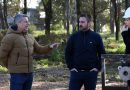 Con sus primeras calles pavimentadas avanzan las obras en el loteo La Arbolada