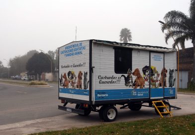 Continúan las esterilizaciones de perros y gatos en el quirófano móvil