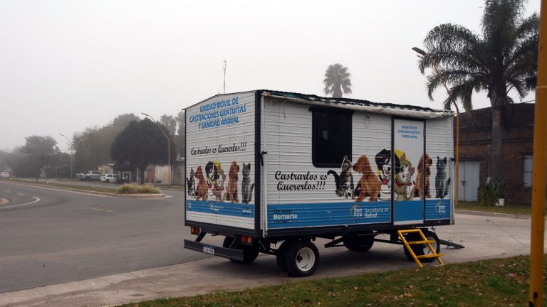 Continúan las esterilizaciones de perros y gatos en el quirófano móvil