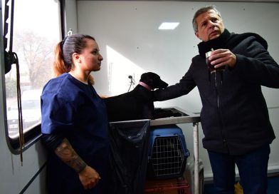 El municipio sigue promoviendo castraciones y vacunaciones de mascotas en los barrios