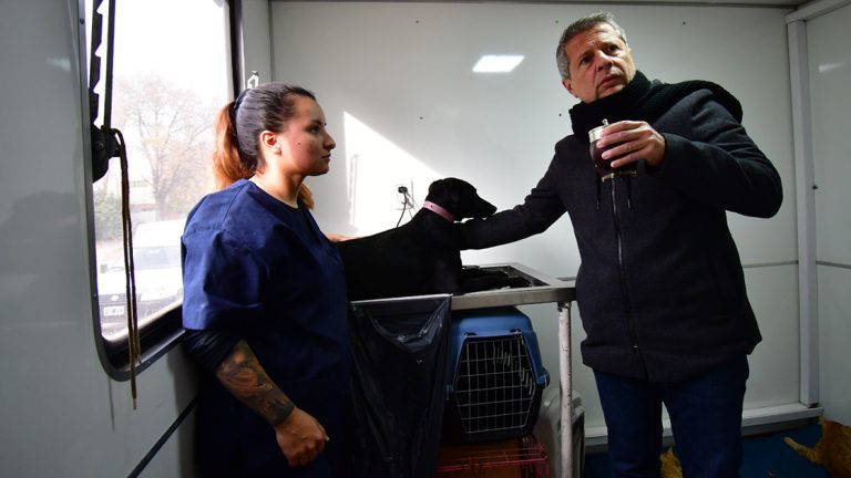 El municipio sigue promoviendo castraciones y vacunaciones de mascotas en los barrios