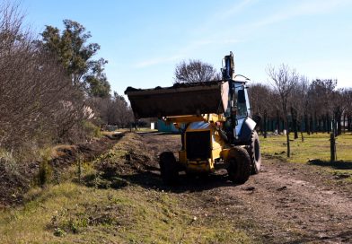 Se realizan tareas de mantenimiento y limpieza en canales del sector norte de la ciudad