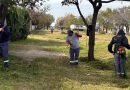 Siguen las tareas de mantenimiento en el FFCC Belgrano y el chipeado de ramas