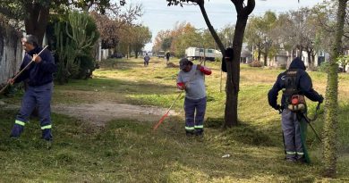 Siguen las tareas de mantenimiento en el FFCC Belgrano y el chipeado de ramas
