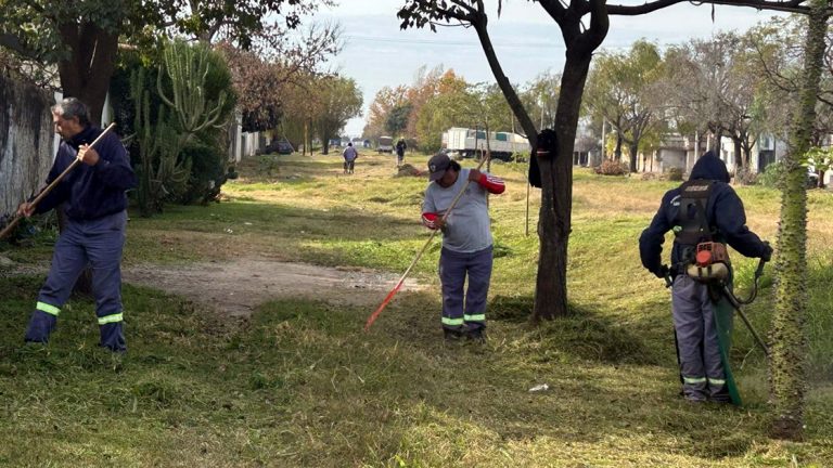 Siguen las tareas de mantenimiento en el FFCC Belgrano y el chipeado de ramas