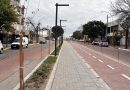La naturaleza acompaña la renovación del bulevar 9 de Julio